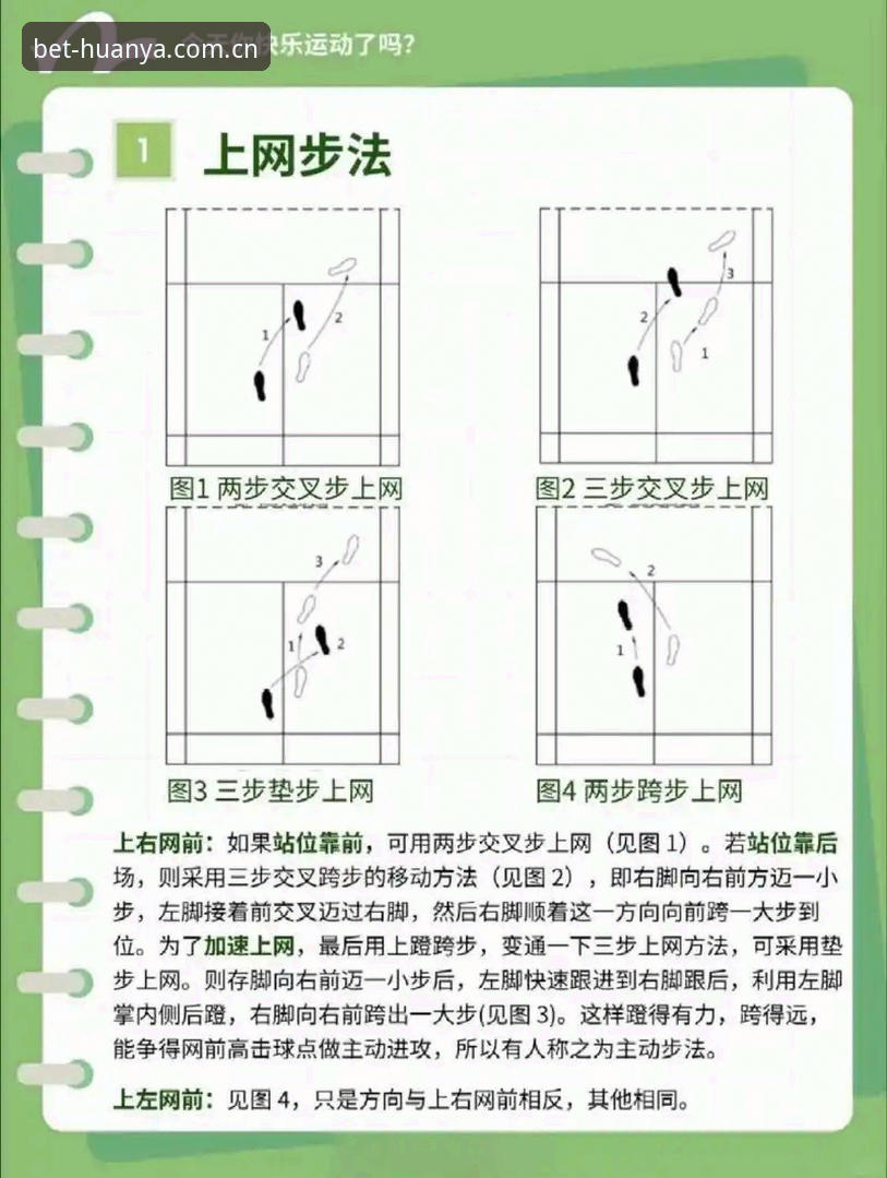 环亚体育App CN赛事数据挖掘教程：从入门到精通的实战操作指南